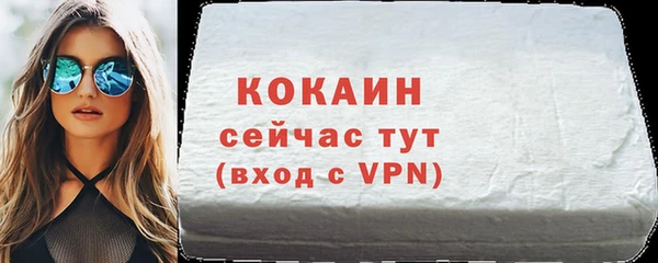 индика Аркадак