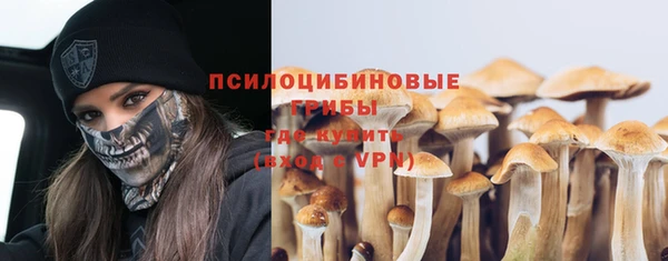 a pvp Арсеньев