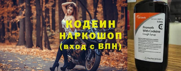индика Аркадак