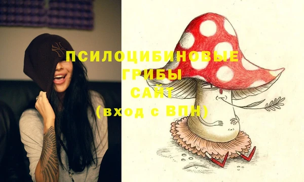 индика Аркадак