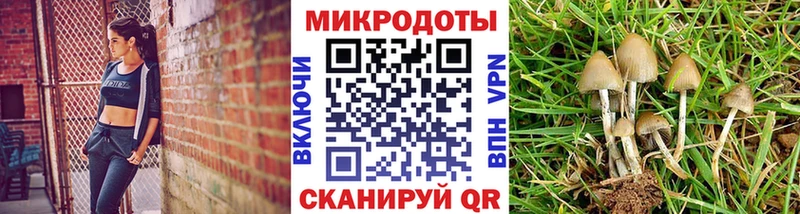 Галлюциногенные грибы прущие грибы  Набережные Челны 